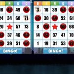 bingo_oyunu_02