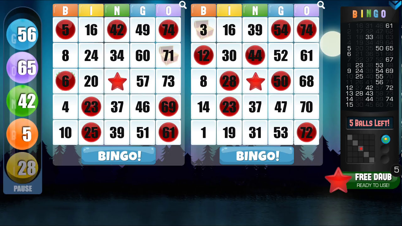 bingo_oyunu_02